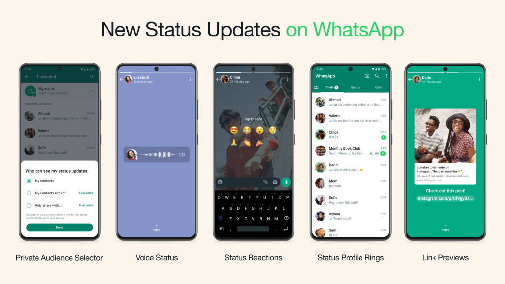 为什么WhatsApp联系人无法显示头像？