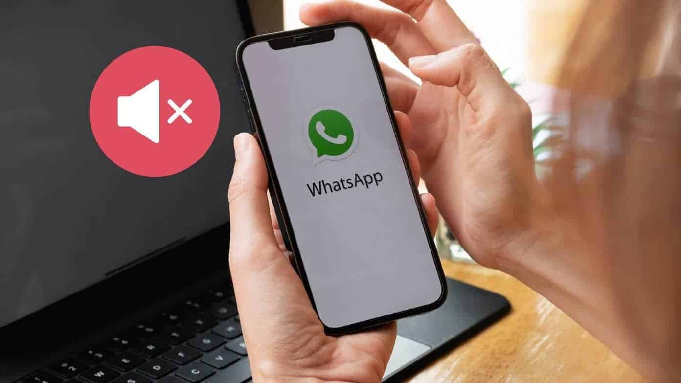 WhatsApp如何调整通知频率？