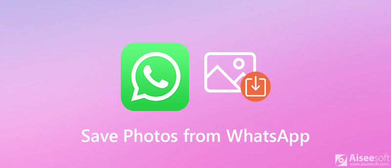 WhatsApp的图片怎么无法下载？