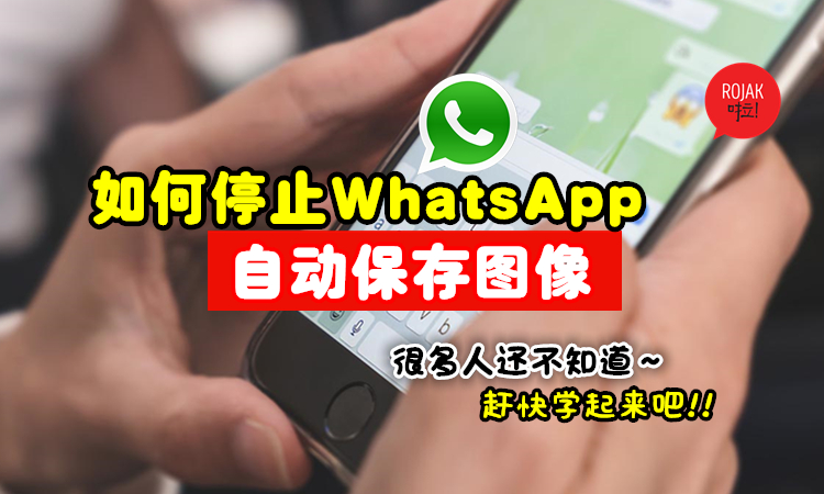 WhatsApp如何设置自动保存文件？