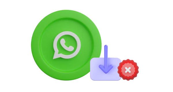 WhatsApp不支持下载某些文件？